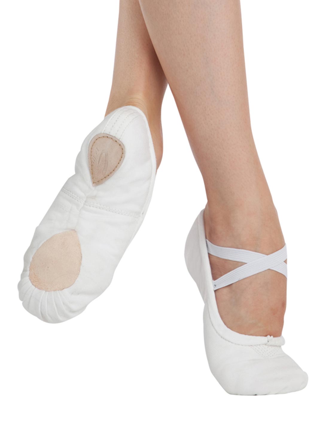Pro Canvas Balletsko